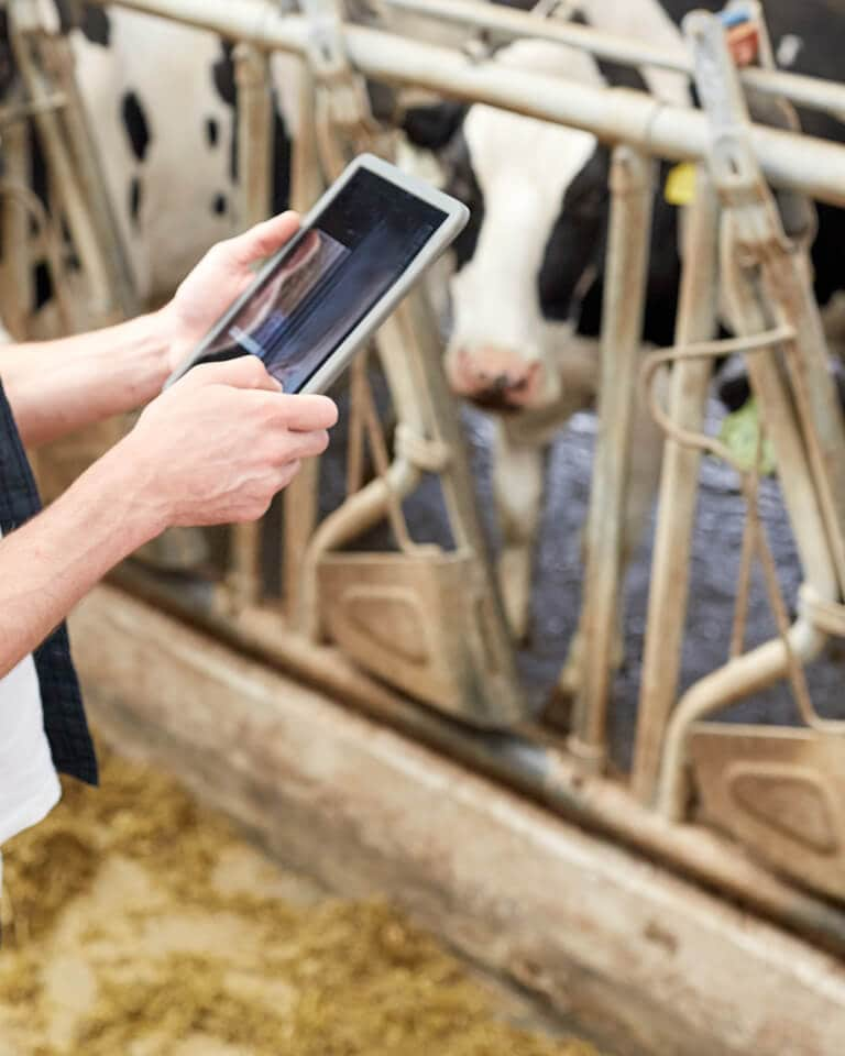 Why 'smart' farming is taking off